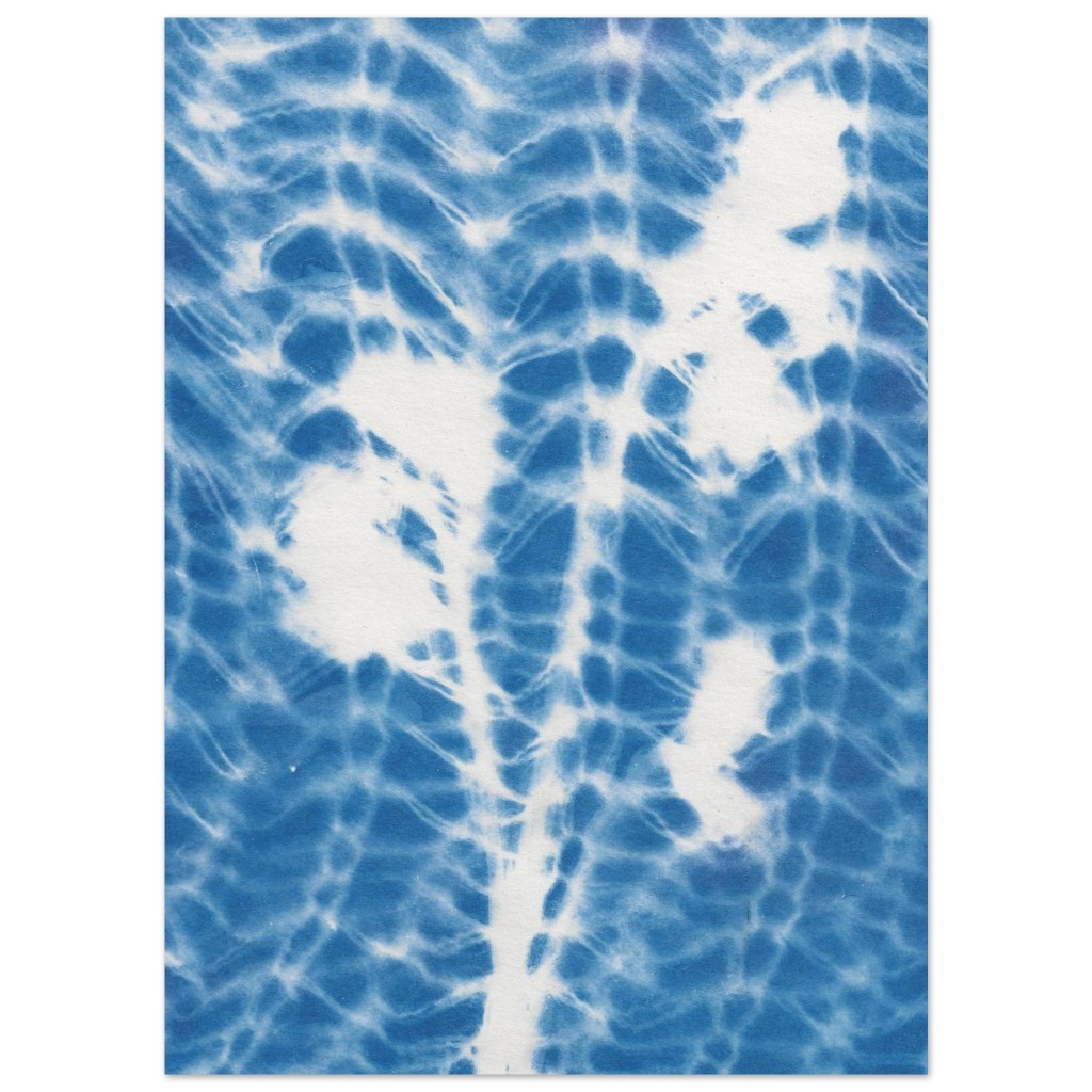 Floral cyanotype knit prints from the Knitting with Light collection